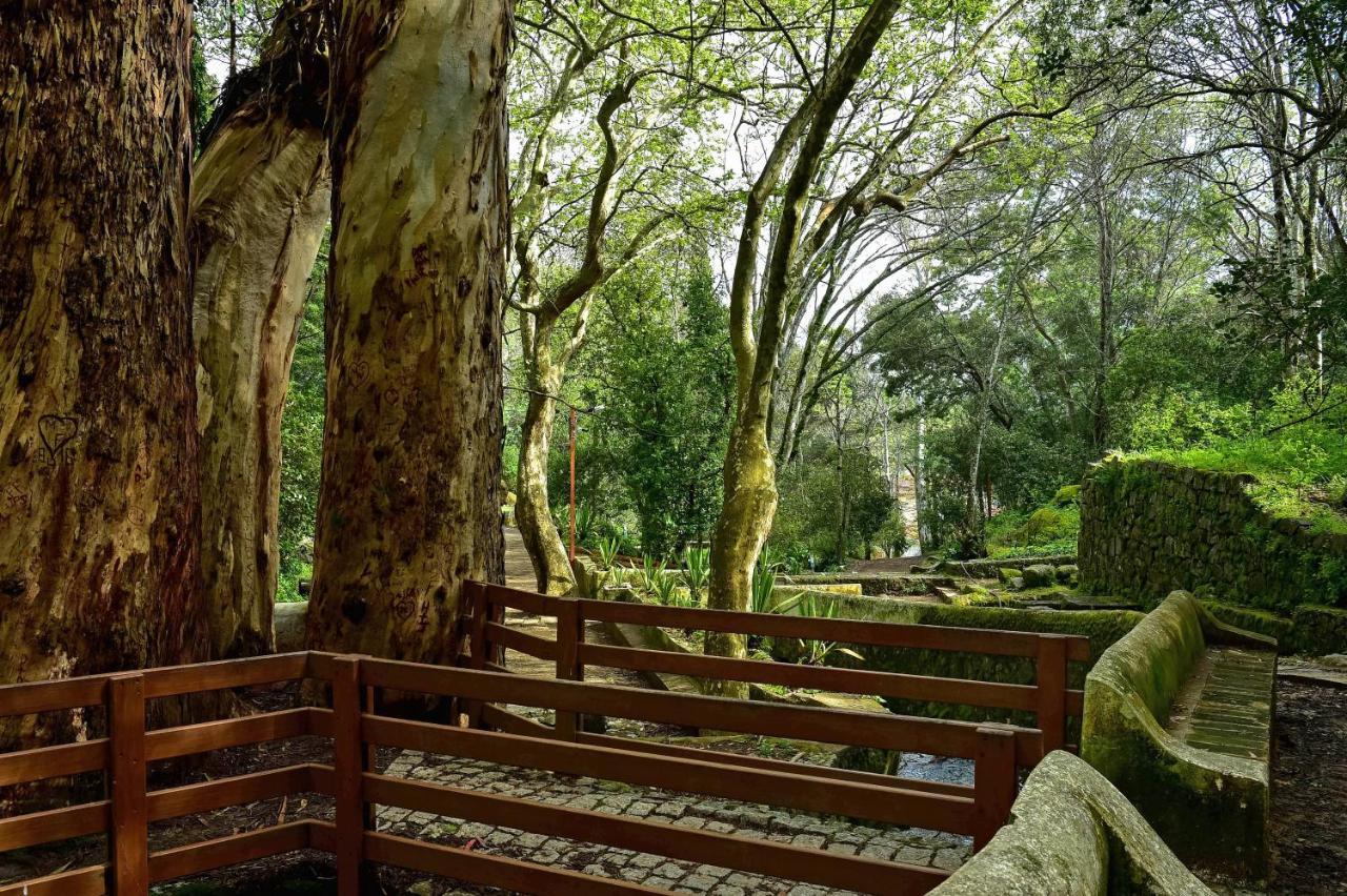 Central Monchique Hotel - Villa Termal Spa Resort - By Unlock Hotels Exteriör bild